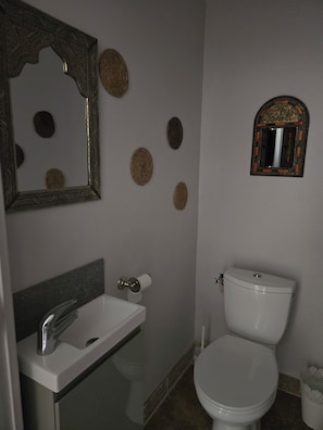 Hair dryer, bathrobes, towels, soap - Apparently vacation home with hammam and private jacuzzi  (saint martin de crau)