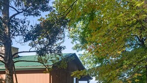 Eine rustikale Holzhütte mit grüner Dachdeckung, umgeben von dichtem Grün und einem Kiesweg, der zu einem Holztor führt.