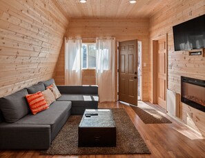 TV, fireplace, DVD player, video library