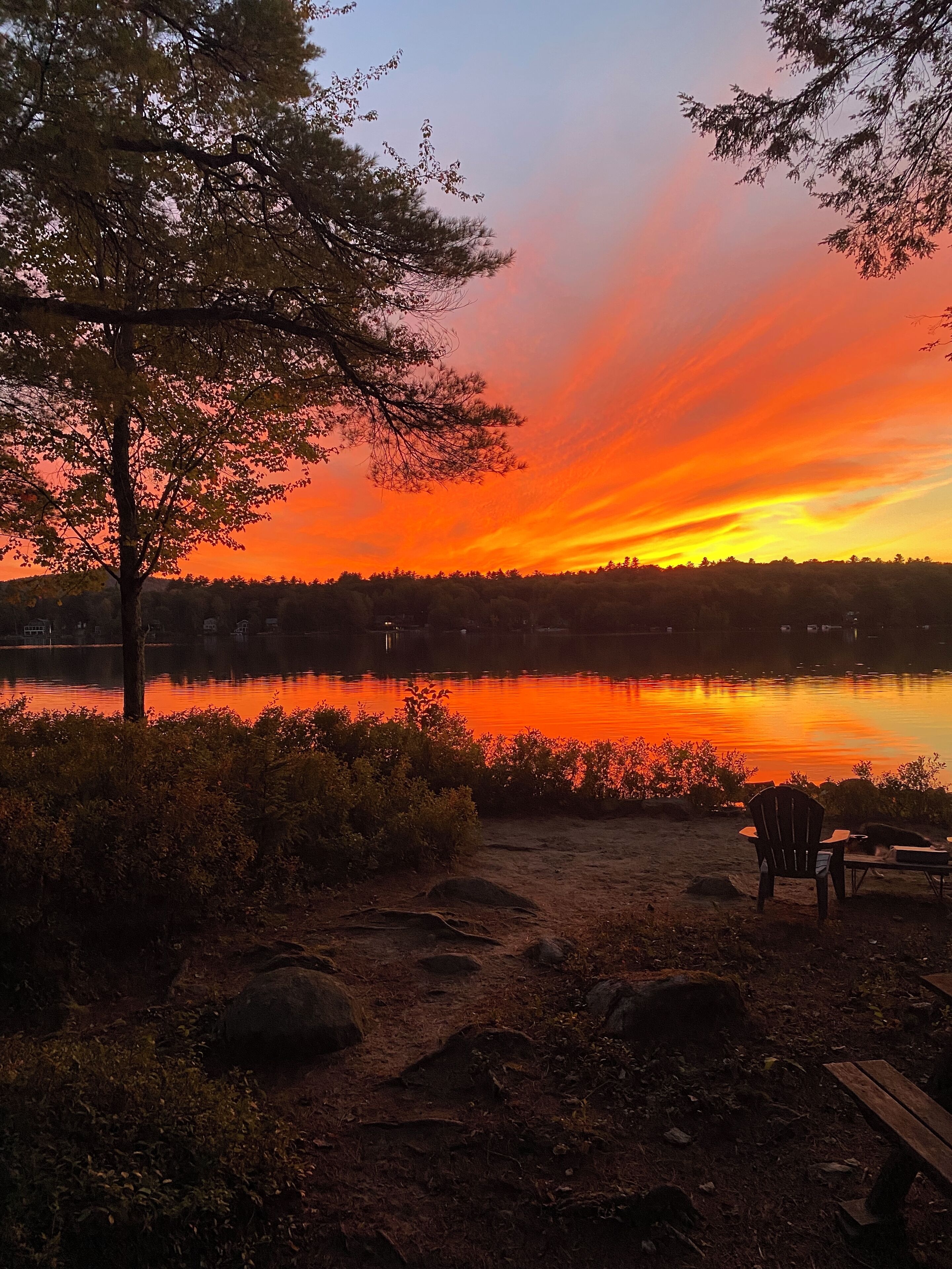 Une vue sur le lac, avec un coucher de soleil, un banc et une table de pique-nique.