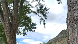 A rustic cabin with a porch, surrounded by a lush garden with yellow flowers, set against a backdrop of trees and a hill. - Rockin Y, Romantic Getaway or Family Friendly Lodging (Gardiner)