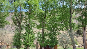 Ulkopuoli