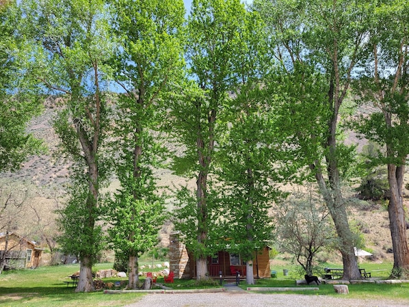 Ulkopuoli