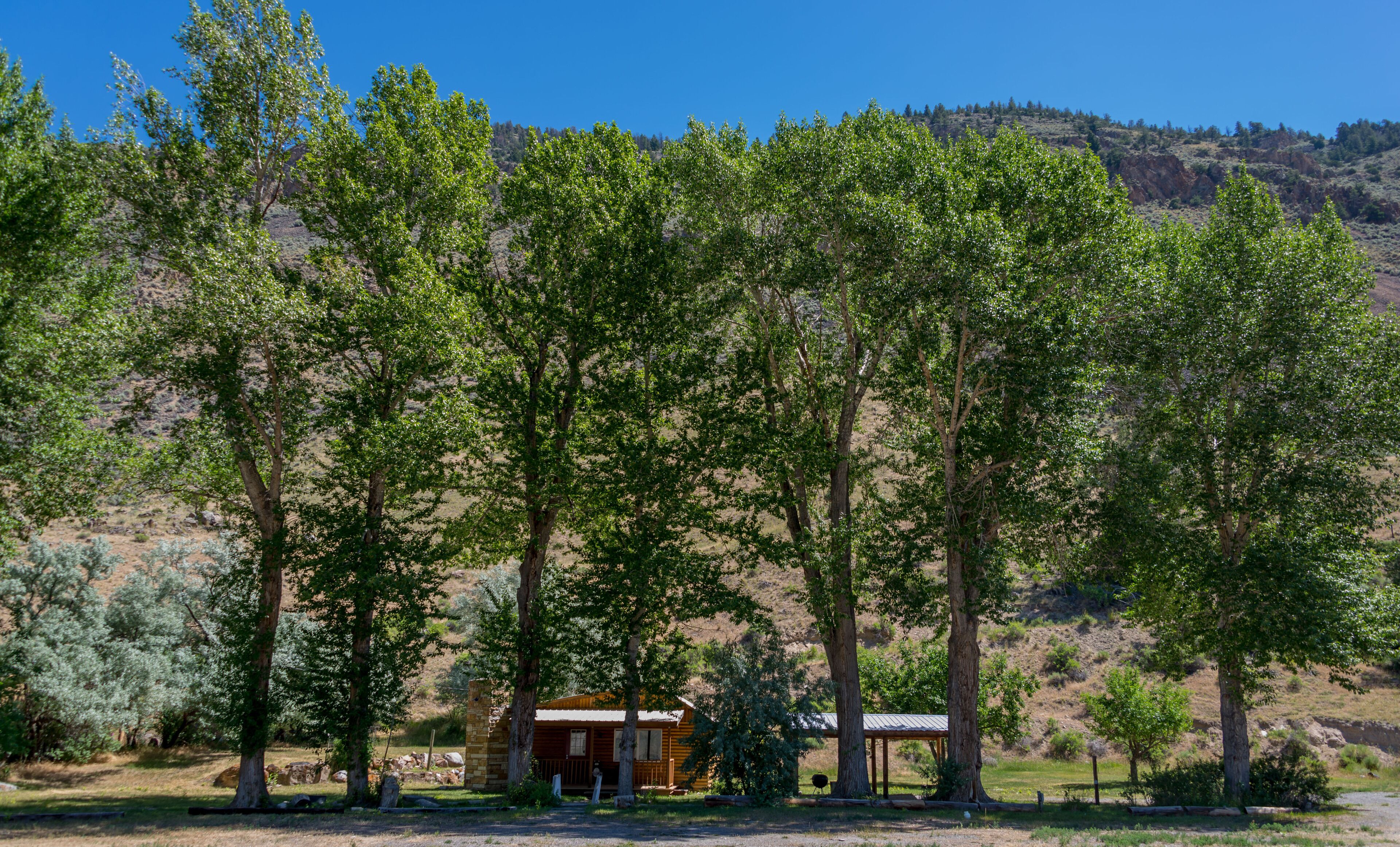 Un chalet rustique entouré de grands arbres dans une région vallonnée.