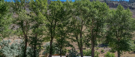 Un chalet rustique entouré de grands arbres dans une région vallonnée.