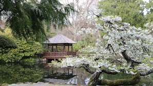 A gazebo by a pond with a bridge, surrounded by lush greenery and flowering trees. - Spacious 4-Bedroom Home near Lagoon, Beach & Hatley Castle (Victoria)