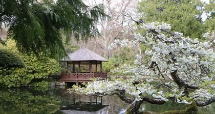 Haus und Garten am Meer und eine Burg