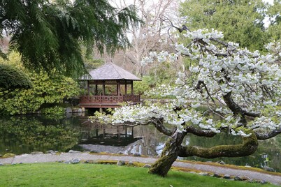 House and Garden near the Ocean and a Castle