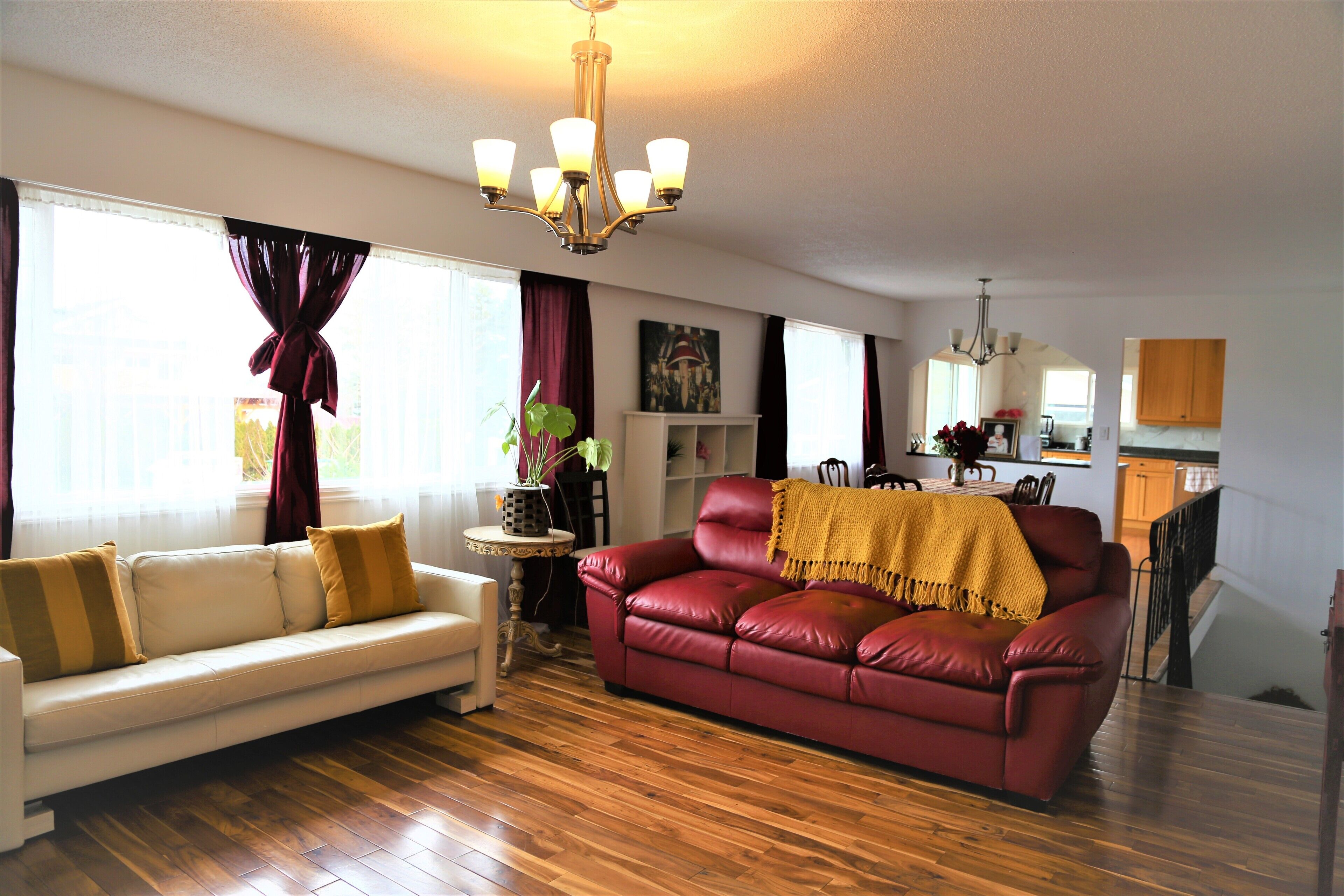 Télévision, livres, écrans d'ordinateur