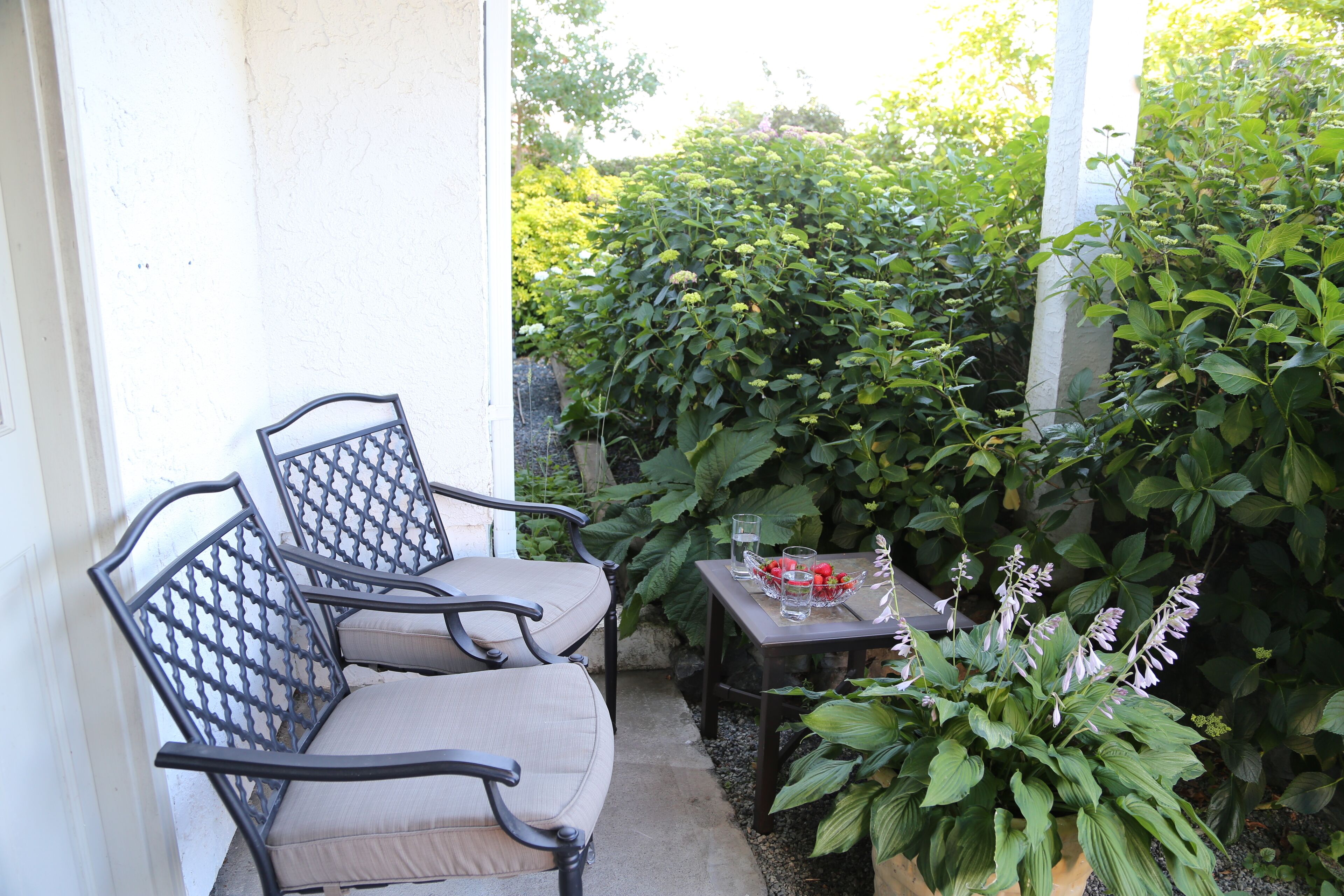 An outdoor seating area with two chairs and a table, surrounded by lush greenery.