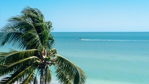 A clear view of the ocean with a boat in the distance and a palm tree in the foreground. - Ultimate Sanibel Beachfront! Island Beach Club, Top Floor, West-Facing, End Unit (Sanibel)
