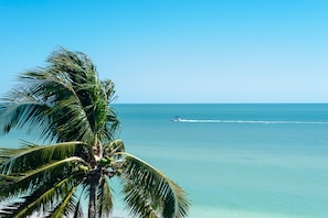 On the beach, sun-loungers, beach towels - Ultimate Sanibel Beachfront! Island Beach Club, Top Floor, West-Facing, End Unit (Sanibel)