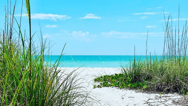 A beach with clear turquoise water and white sand. - The Casa Coco | Garden : Modern and relaxing home  with heated pool  (Venice)