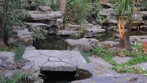 Un jardin aménagé dans un style naturaliste, avec un étang, des rochers et différentes espèces de plantes.