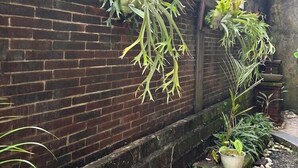 A brick wall with hanging plants and a gravel pathway. - ADI JAYA COTTAGES (Ubud)