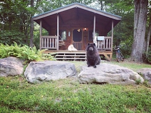 Exterior - Maple Leaf Charming log cabin in the woods UPGRADED WITH FIBER OPTIC INTERNET (Blakeslee)