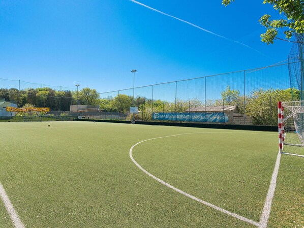 Sky, Plant, Daytime, Tree, Land Lot, Ball Game, Grass, Grassland