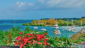 A marina with multiple boats docked, surrounded by lush greenery and a clear blue sky. - Boutique vllla on the rocks (Trou d'Eau Douce)