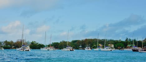 Un puerto deportivo con varios veleros amarrados.