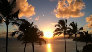 A sunset over a calm sea with palm trees silhouetted against the sky.