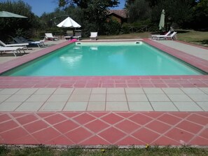 Ein rechteckiger Pool mit einer gefliesten Liegefläche in einem Garten.