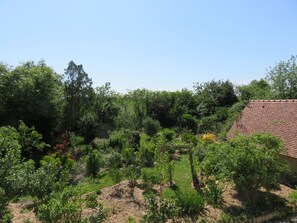 Un jardí amb plantes i arbres diversos, una paret de maó i un edifici amb teulada vermella.