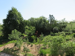 Un paysage naturel caractérisé par une végétation luxuriante et de nombreux arbres.