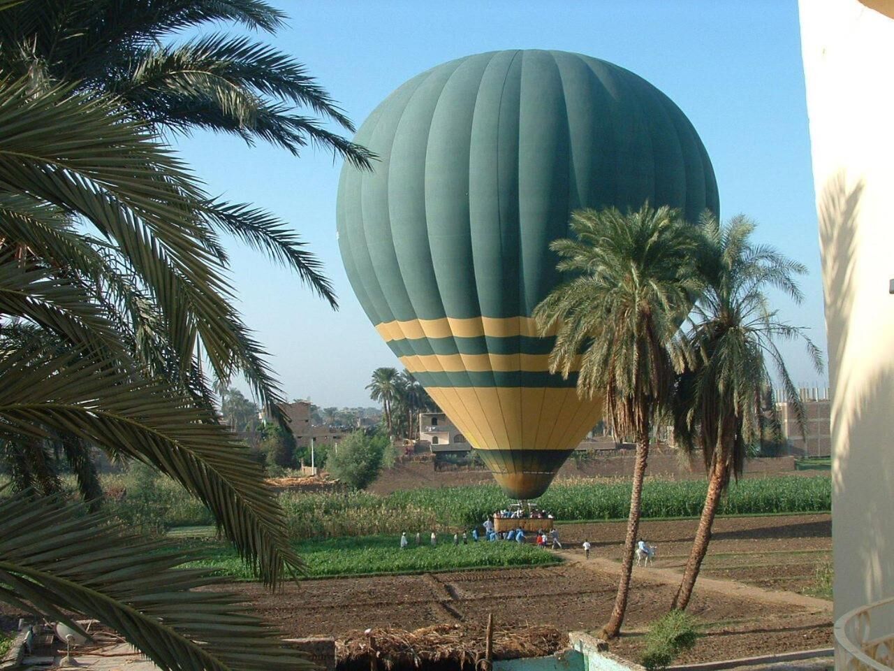 A hot air balloon with a green and yellow striped pattern, surrounded by palm trees and fields.