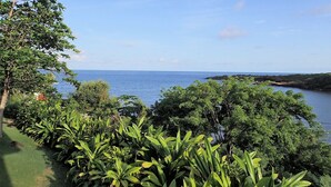 Paisagem costeira com vegetação densa e vista para o mar.
