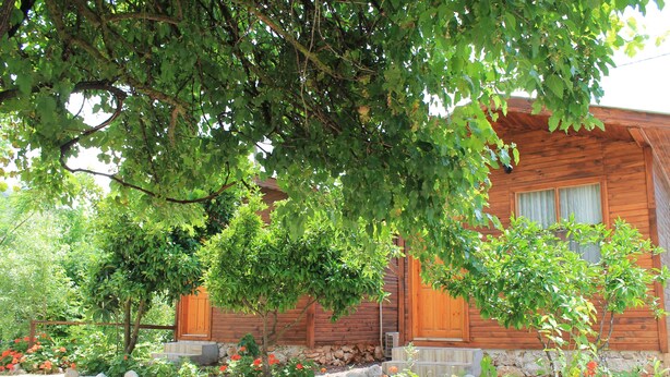 Una cabaña de madera con base de piedra, rodeada de un jardín con diversas plantas y flores.