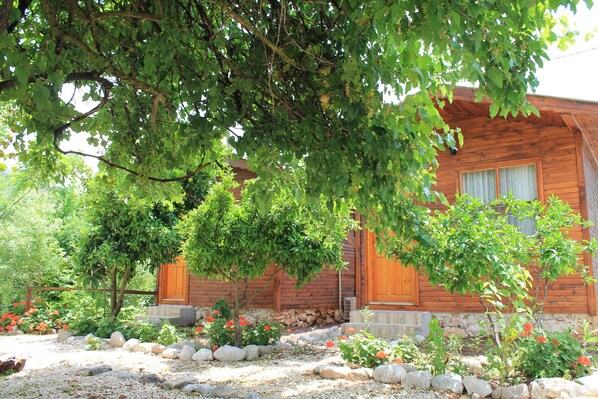 Bar (on property) - Olympos Simar Pansiyon (Kumluca)