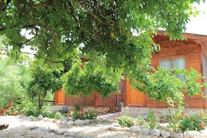 Bar (na propriedade)