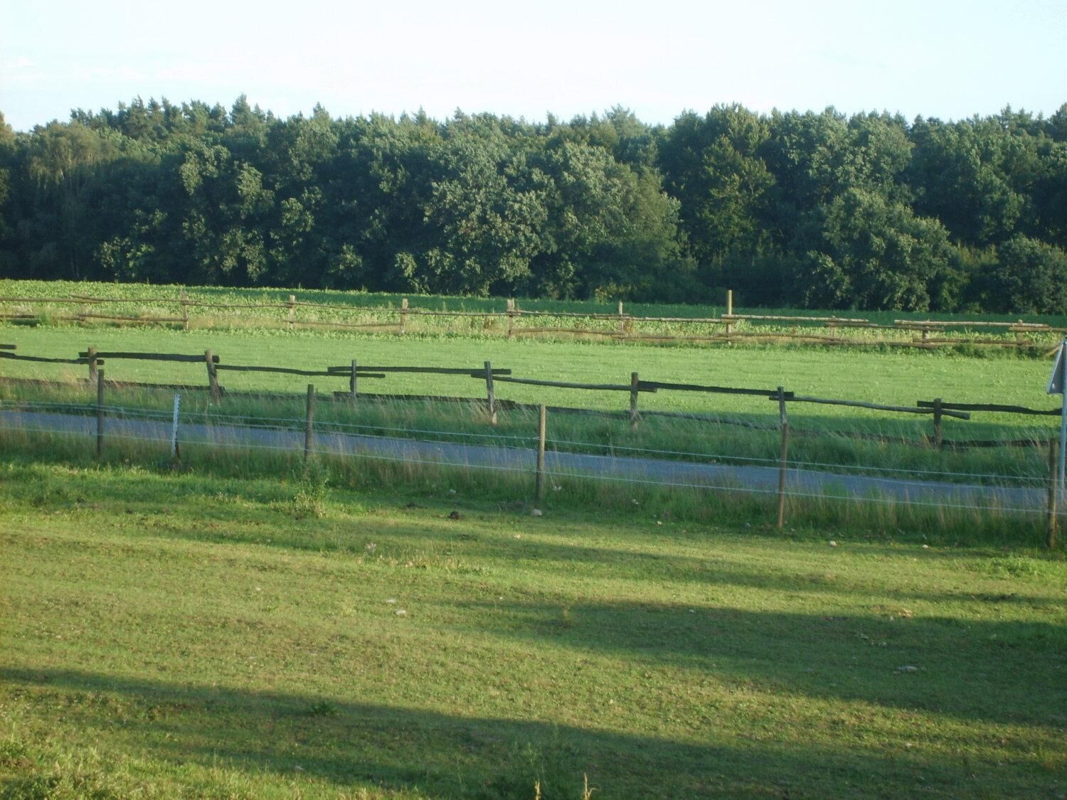 A rural landscape with a fenced field, a wooden fence, and a dense forest in the background.