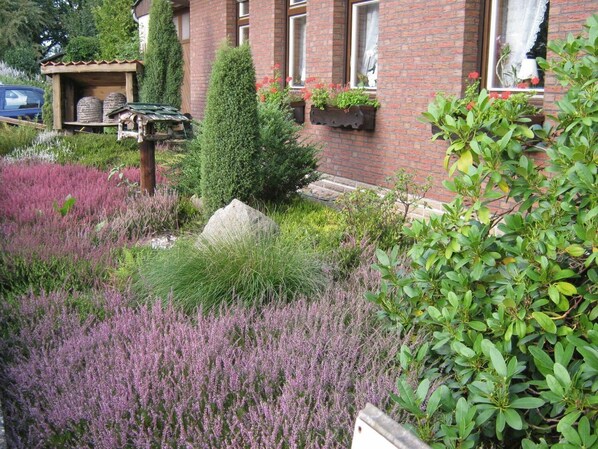 Un jardin où l’on trouve une variété de plantes, une structure en bois et un bâtiment en briques doté de fenêtres.