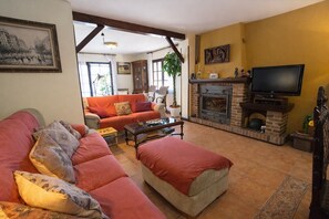 電視、壁爐、DVD 播放機