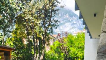 Desayuno buffet incluido todos los días