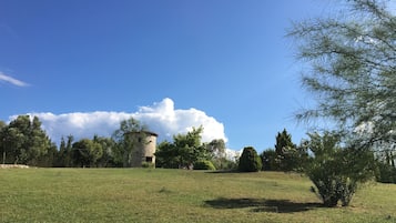Chambre Standard | Vue sur le jardin