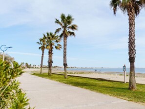 Ein Küstenweg, gesäumt von Palmen, der zu einem Strand führt.