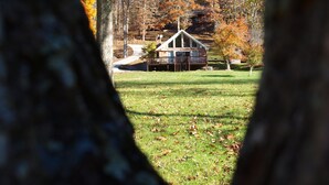 Une cabane dotée d’une terrasse, entourée d’une forêt aux couleurs automnales.