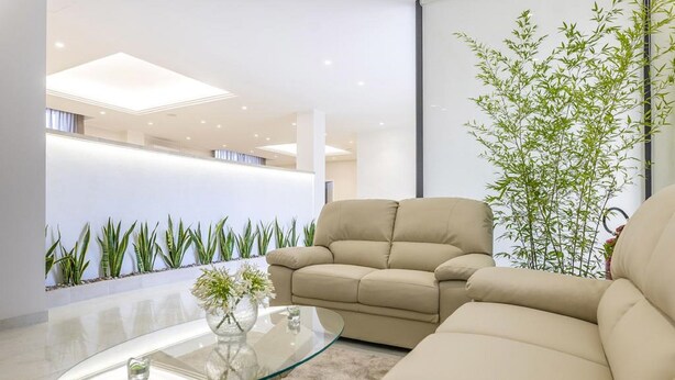 Una sala de estar moderna con un sofá color beige, una mesa de centro de vidrio y una planta grande.