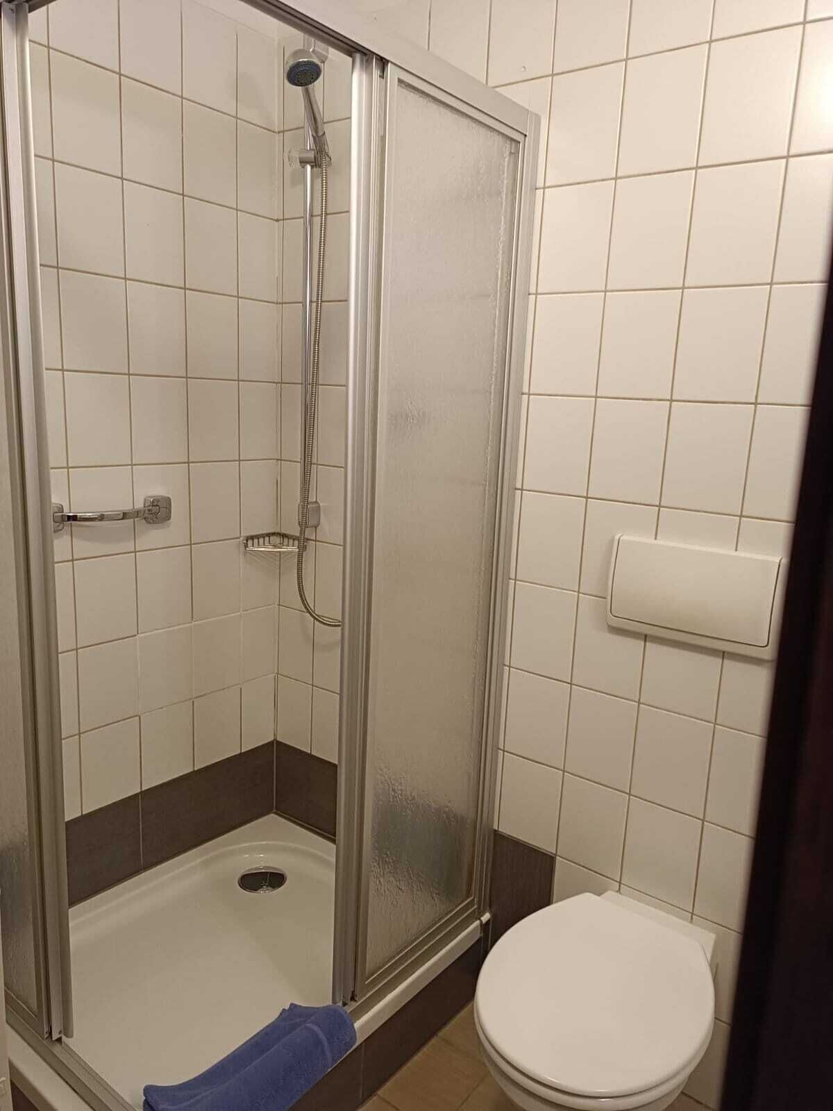Eine Dusche mit Glastür, eine weiße Toilette und ein Handtuchhalter.