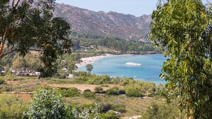 Un paysage côtier avec une plage, des montagnes et une végétation luxuriante.