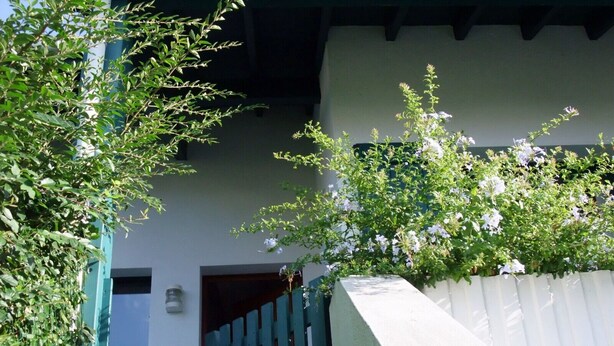 Un bâtiment à l’extérieur blanc, avec une porte verte et une clôture blanche.