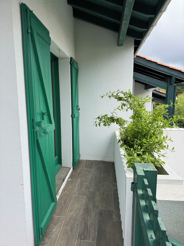 A narrow outdoor corridor with green doors, a white wall, and a potted plant.