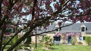 A stone building with a blue door and a small garden area with grass and a palm tree.