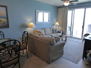 TV, DVD player, books, video library