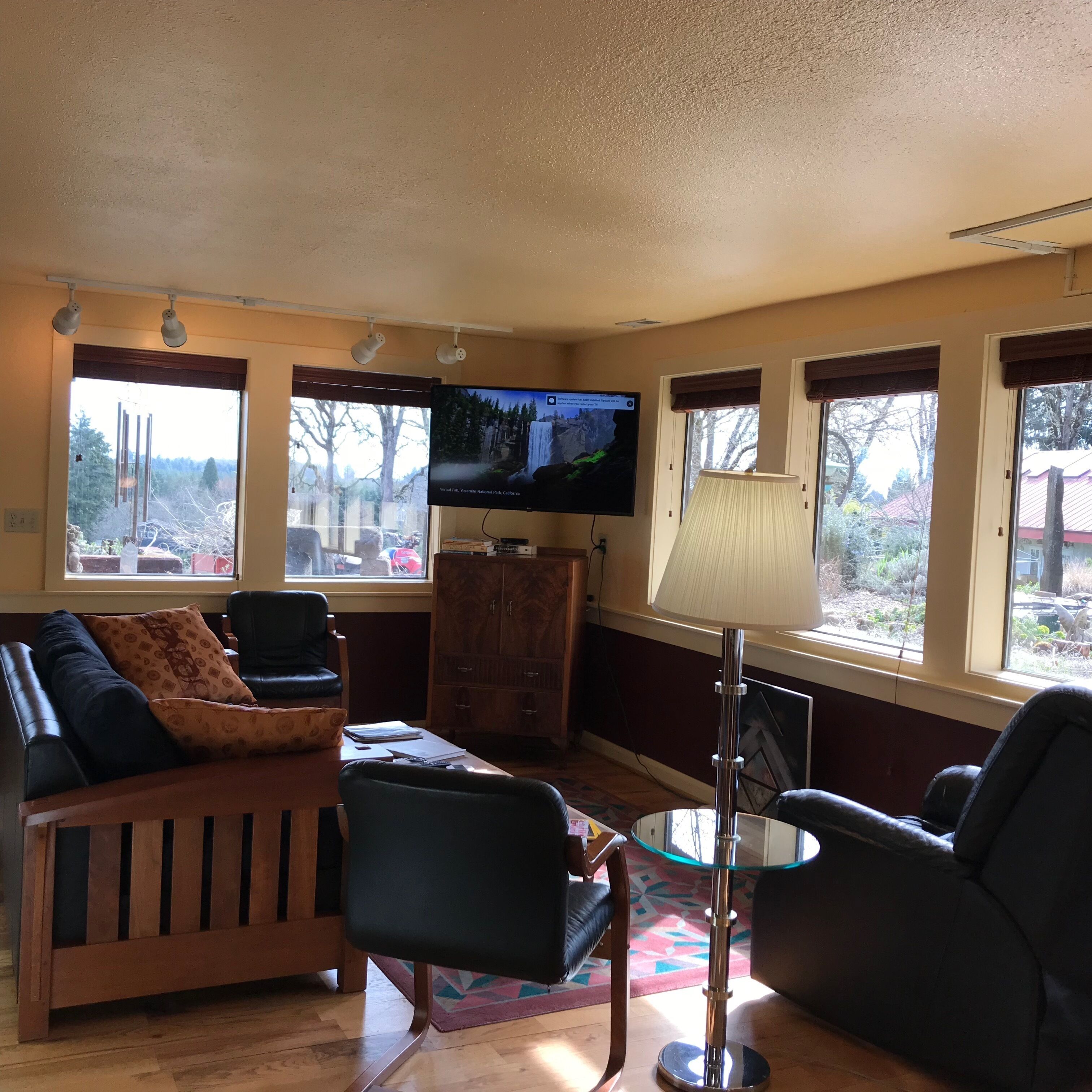 TV connectée, cheminée, livres