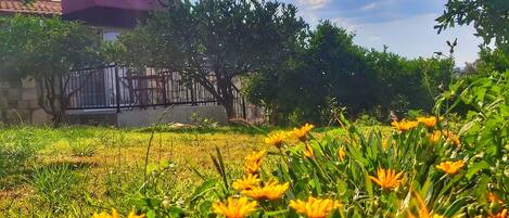 Un jardín con flores amarillas y un edificio de techo rojo al fondo.