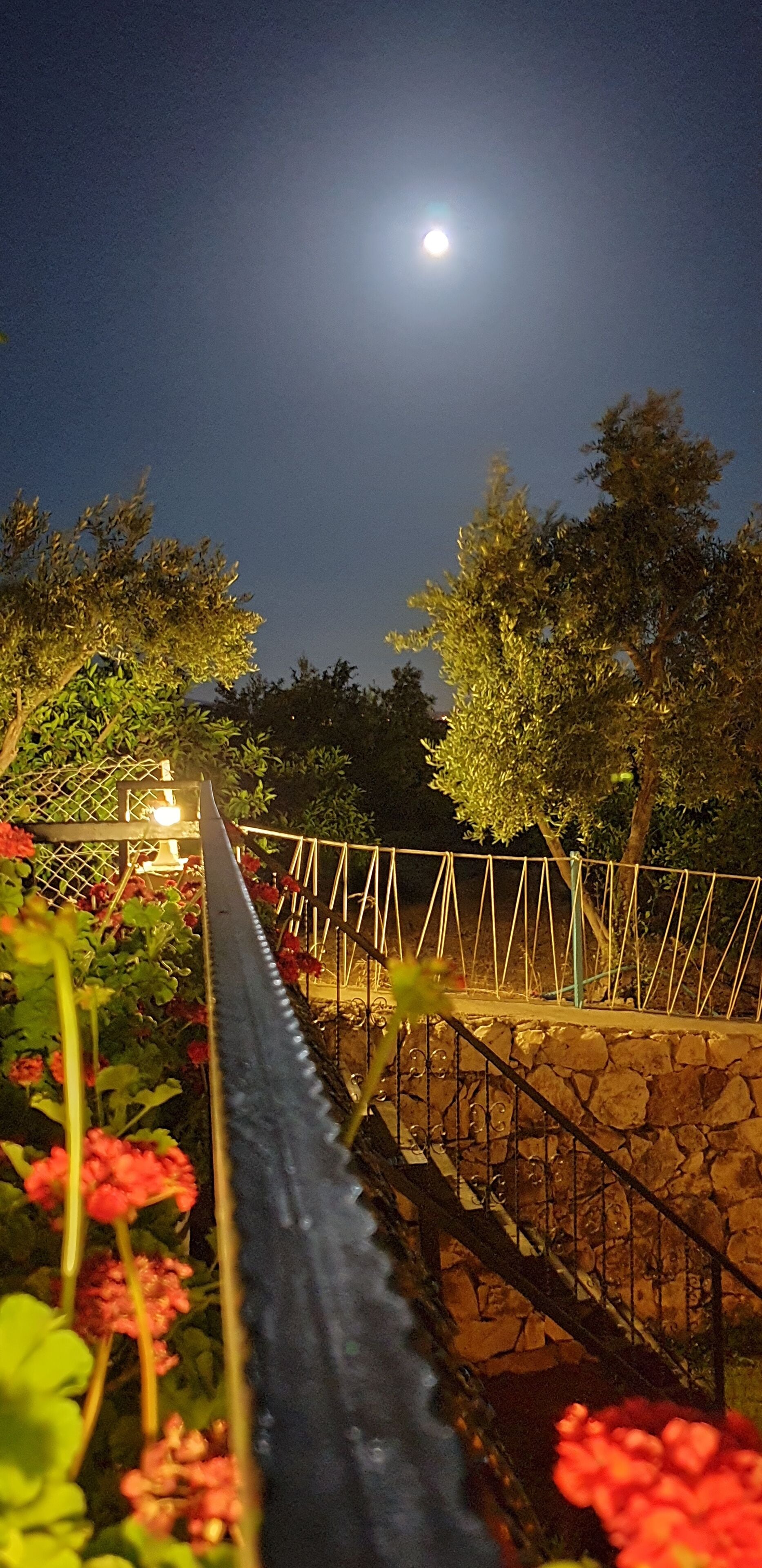 숙박 시설 정면