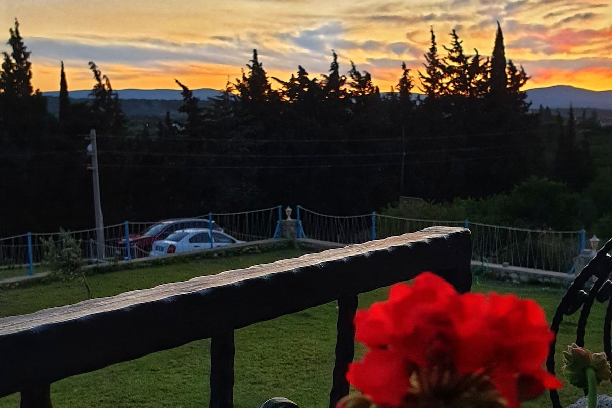 Um jardim com grade de metal, flores vermelhas e um pôr do sol ao fundo.